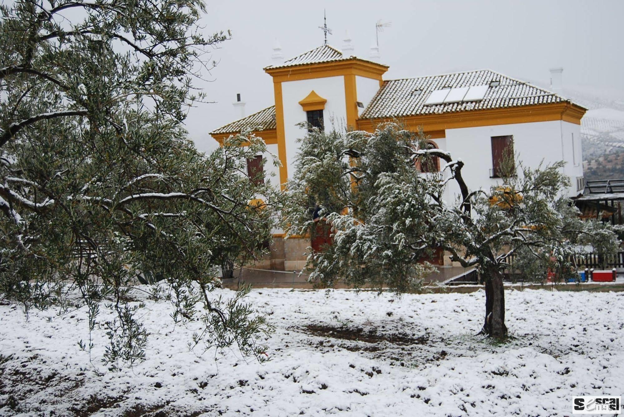 Casa Vagon Via Verde De La Sierra Ольвера Экстерьер фото